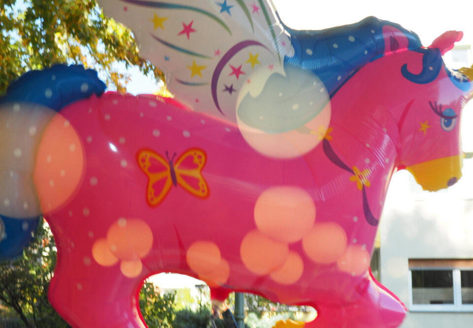 Giochi gonfiabili acquatici differenze